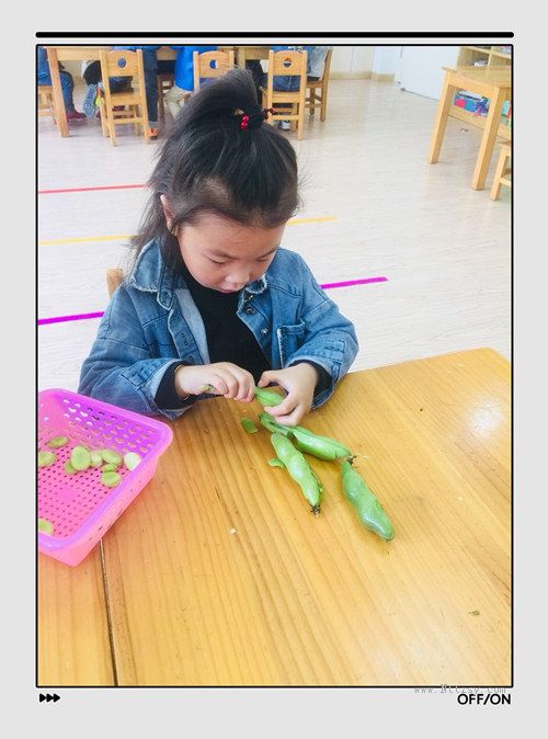 2019052309572619967.jpg 2019052309572619967.jpg