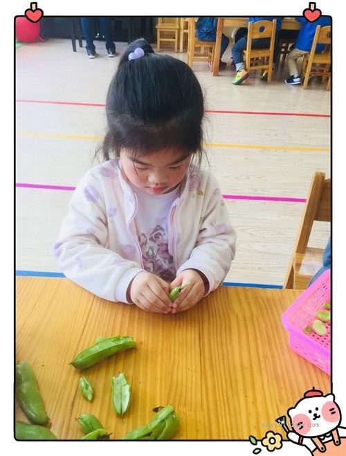 2019052309573238667.jpg 2019052309573238667.jpg