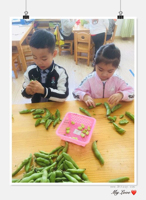 2019052309573698657.jpg 2019052309573698657.jpg