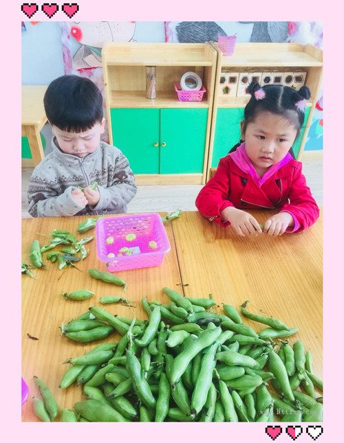 2019052309574266253.jpg 2019052309574266253.jpg