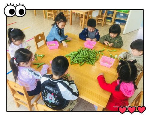 2019052309575966995.jpg 2019052309575966995.jpg