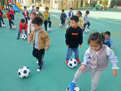 IMG20191017151322_副本.jpg IMG20191017151322_副本.jpg