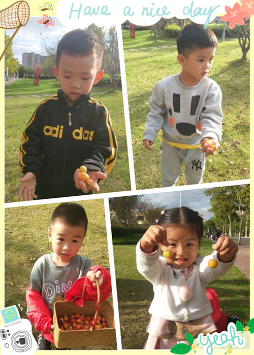 QQ图片20191024121214_副本.jpg QQ图片20191024121214_副本.jpg