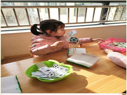 IMG_20191227_104408.jpg IMG_20191227_104408.jpg